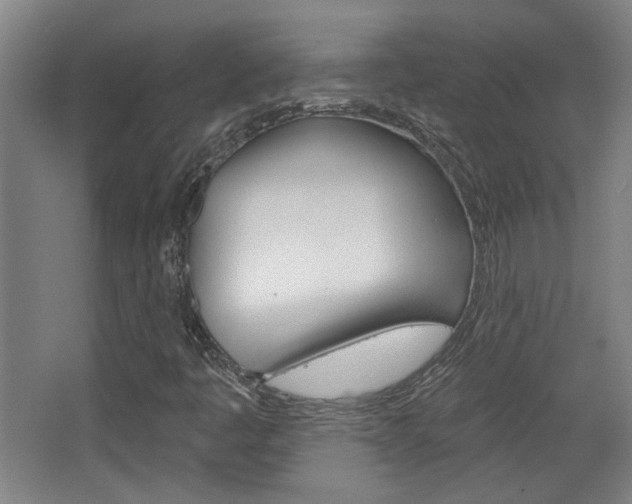 X0000068721445200604280912
