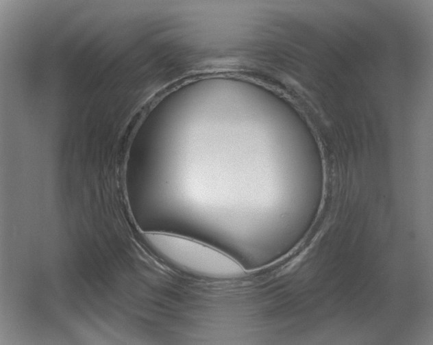 X0000068721449200604280912