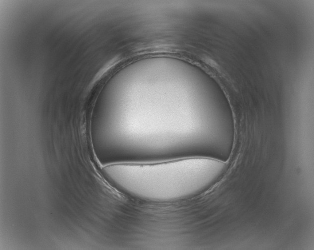 X0000068721450200604280912