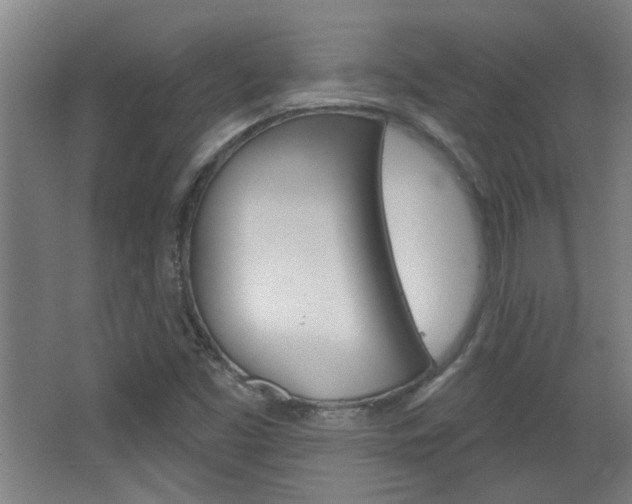 X0000068721453200604280912