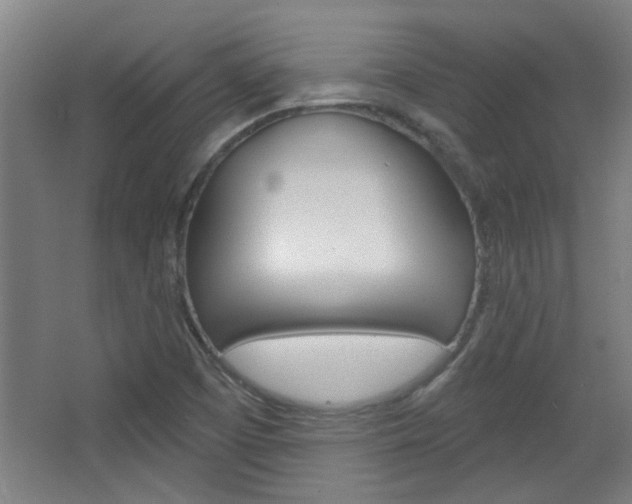 X0000068721457200604280912