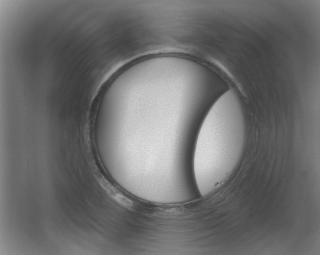 X0000068721460200604280912