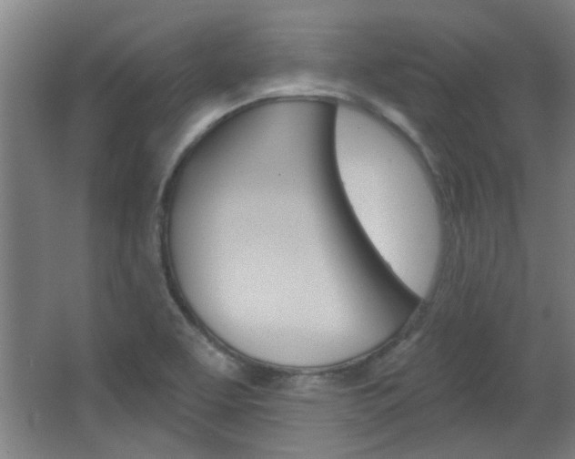 X0000068721463200604280911