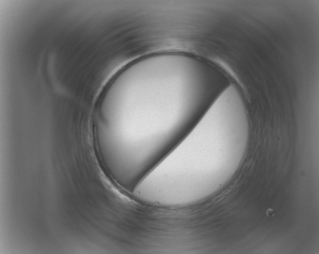 X0000068721468200604280911