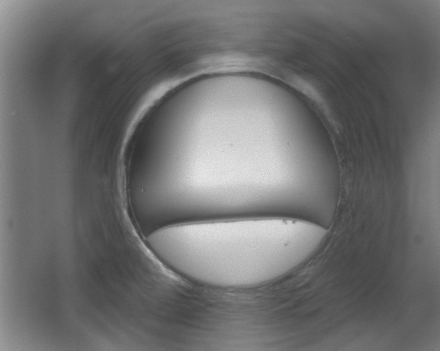 X0000068721472200604280911