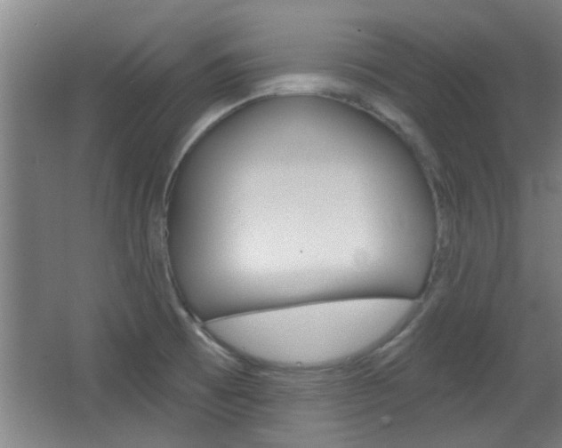 X0000068721473200604280911