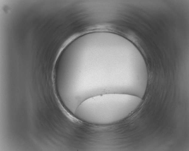 X0000068721482200604280911