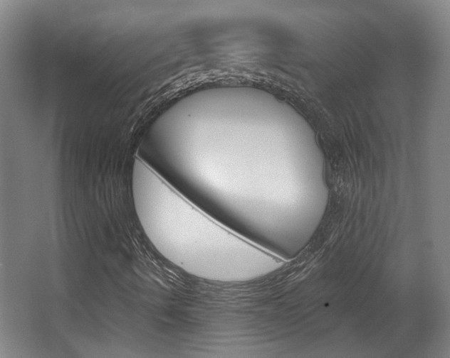 X0000068721490200604280910