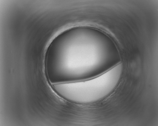 X0000068721512200604280911