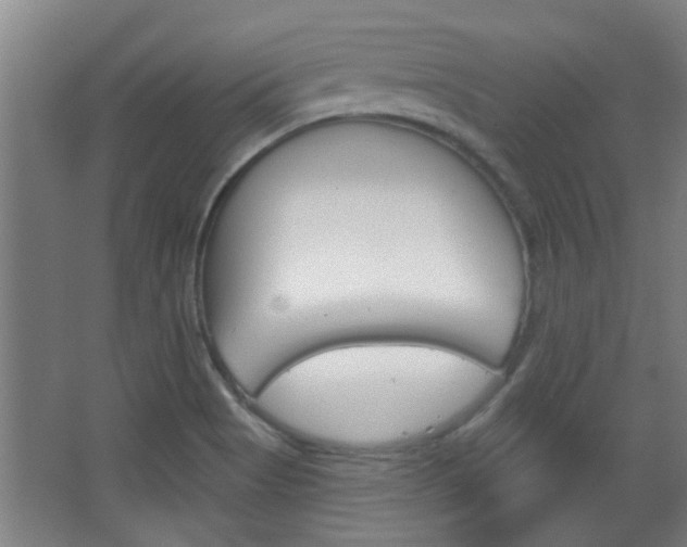 X0000068721513200604280911