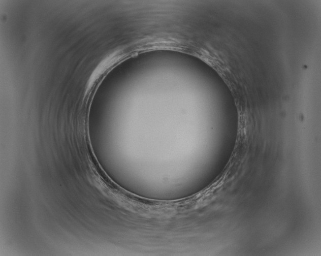 X0000068720004200604281125