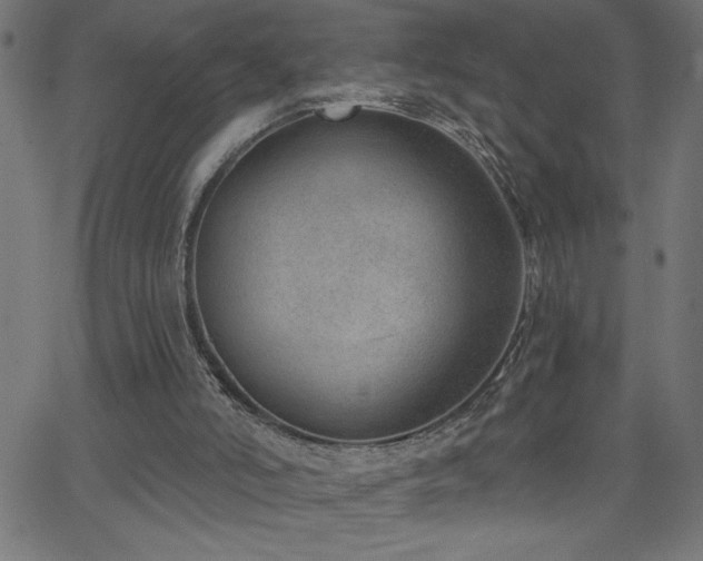 X0000068720006200604281125