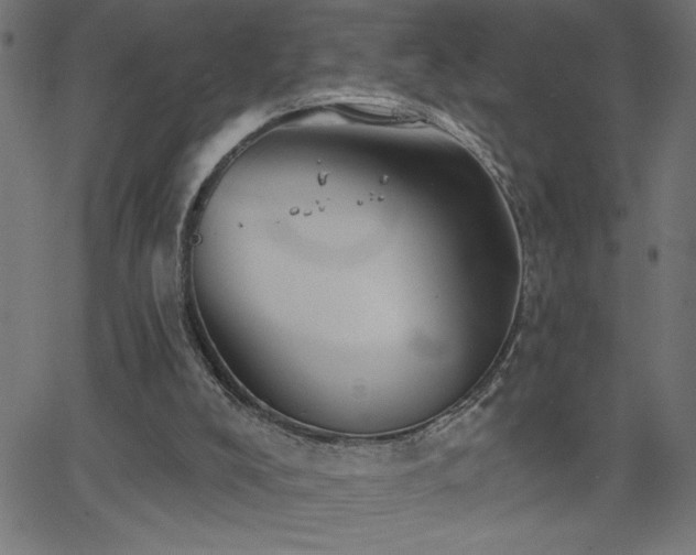 X0000068720008200604281125