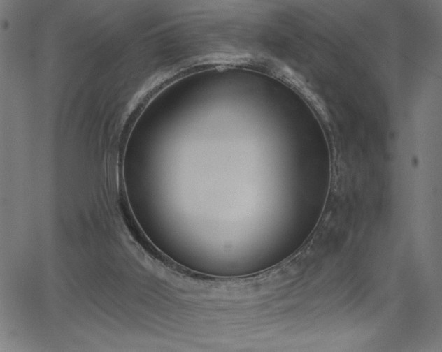 X0000068720011200604281125