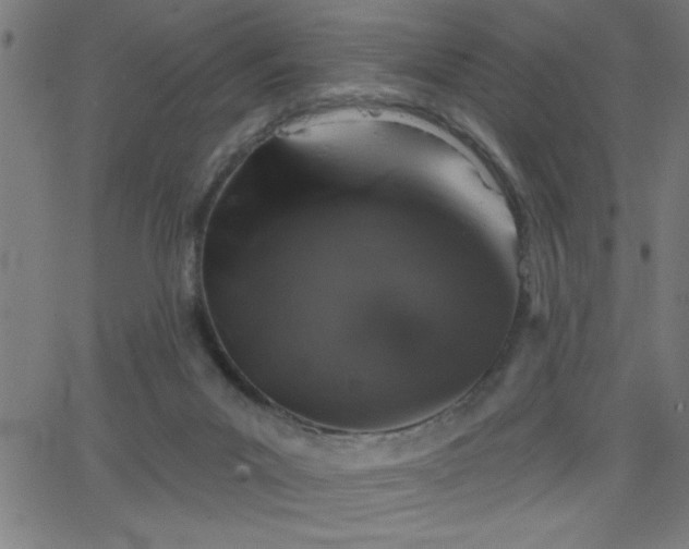X0000068720023200604281125