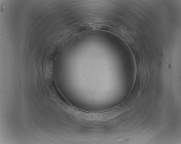 X0000068720030200604281125