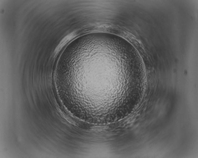 X0000068720051200604281123