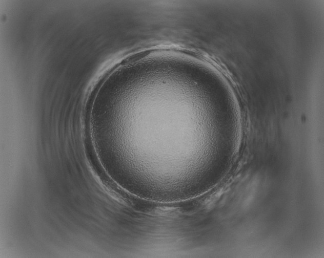 X0000068720055200604281124