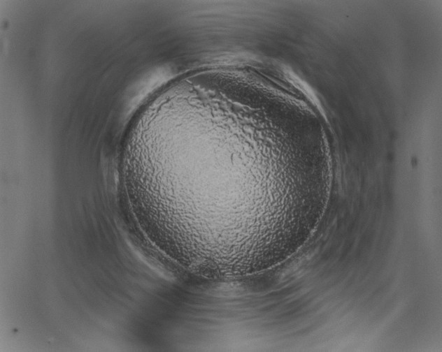X0000068720059200604281124