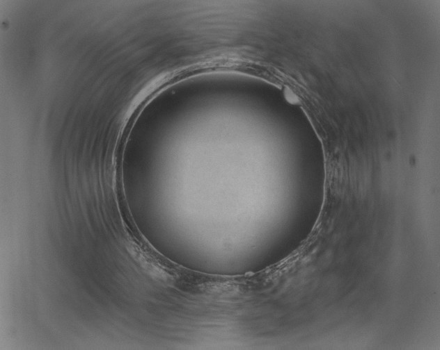 X0000068720100200604281123