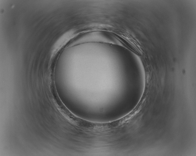 X0000068720101200604281123