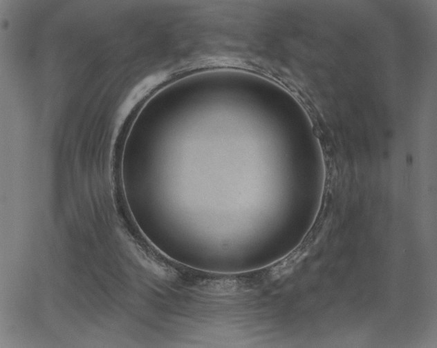 X0000068720104200604281123