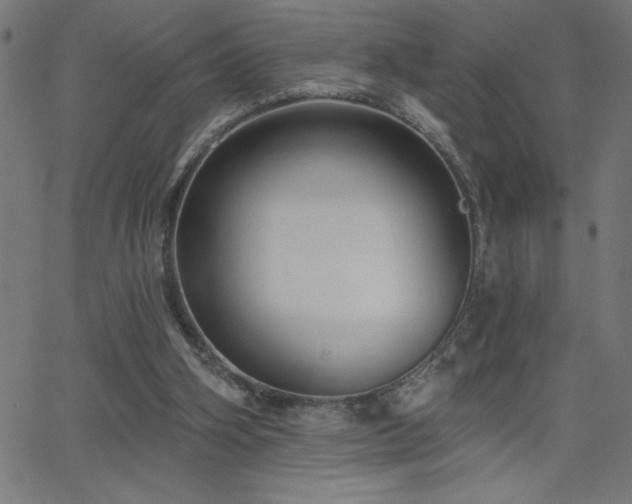 X0000068720106200604281123