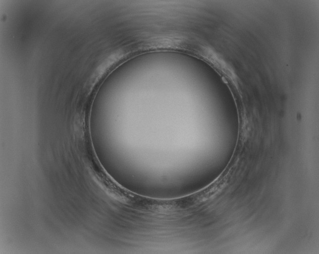 X0000068720107200604281123