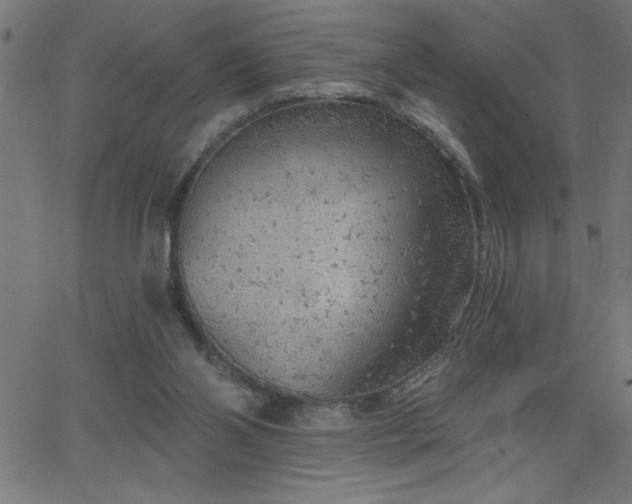 X0000068720110200604281123