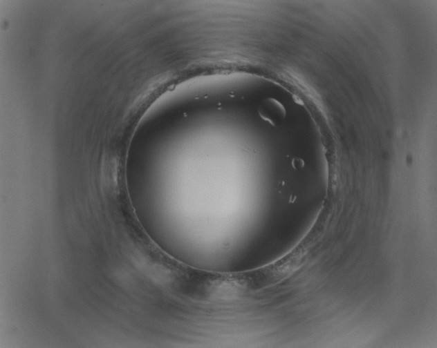 X0000068720115200604281123
