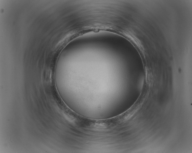X0000068720157200604281122