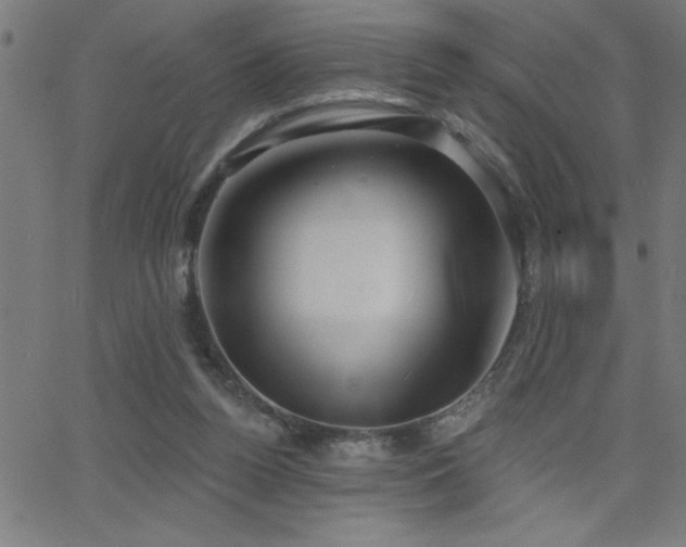 X0000068720160200604281122