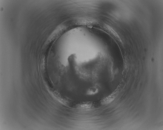 X0000068720163200604281122