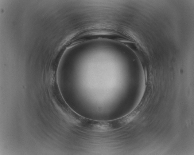 X0000068720164200604281122