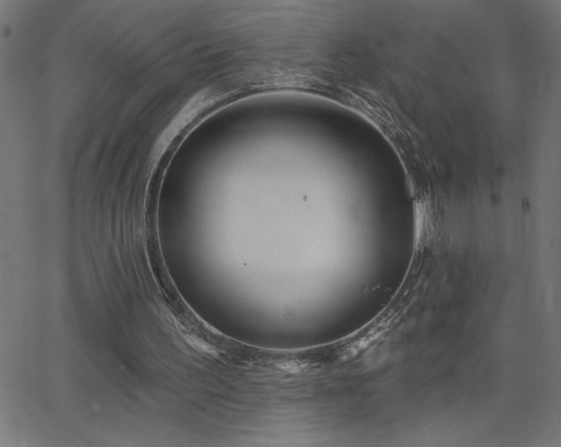 X0000068720195200604281122