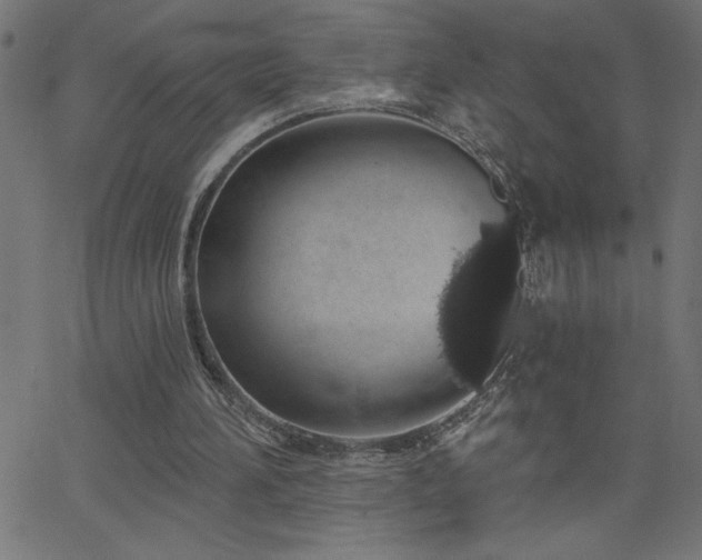X0000068720196200604281122
