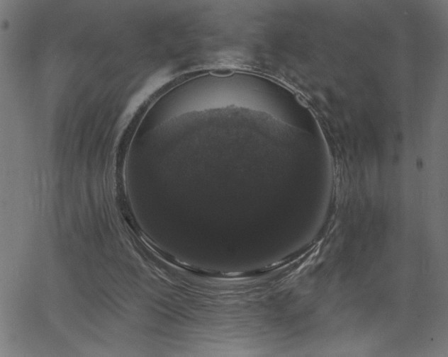 X0000068720200200604281122