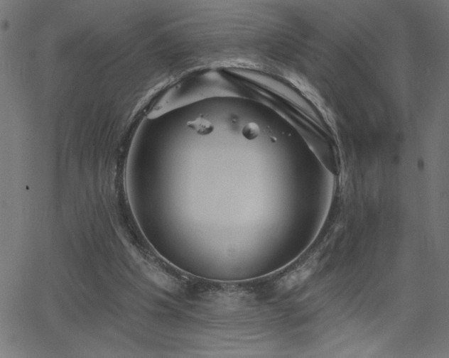 X0000068720201200604281122