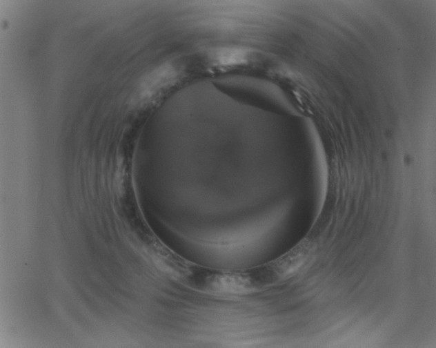 X0000068720223200604281121
