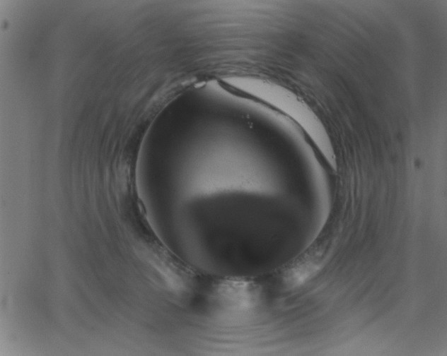 X0000068720227200604281121