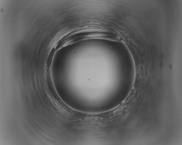 X0000068720242200604281120