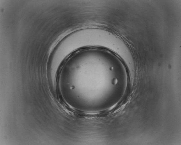 X0000068720244200604281120