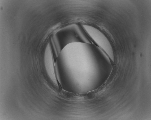 X0000068720260200604281121