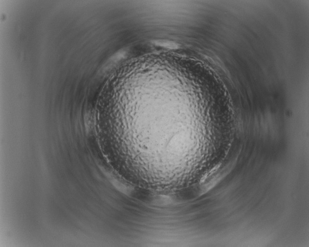 X0000068720285200604281121