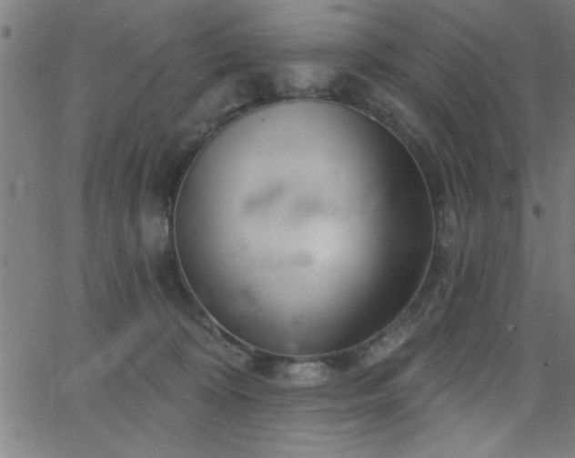 X0000068720324200604281120