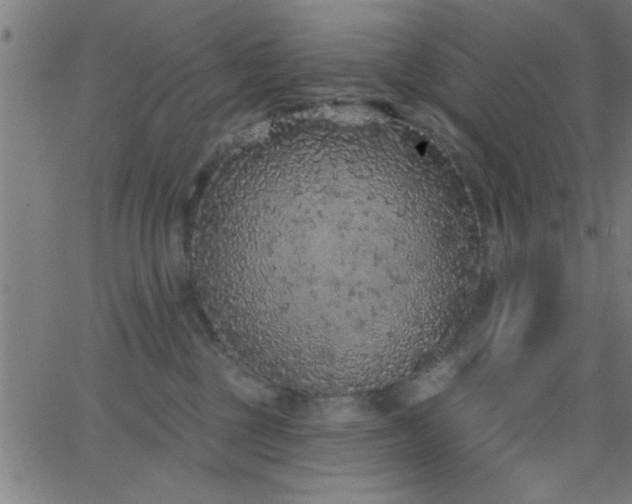 X0000068720377200604281119