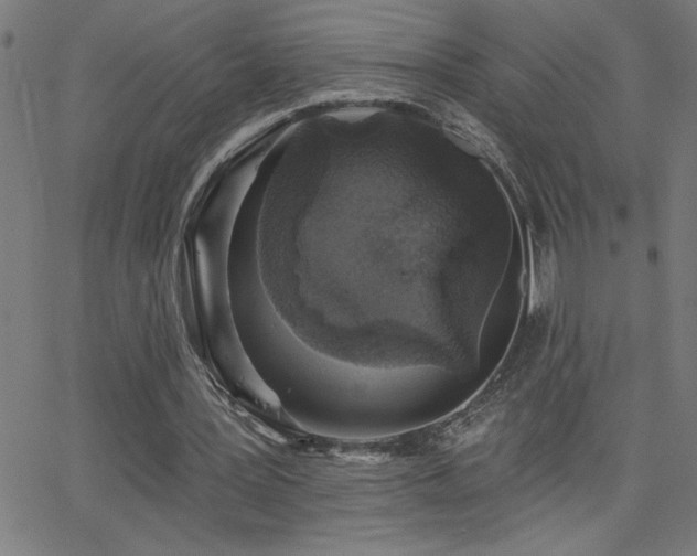 X0000068720387200604281119