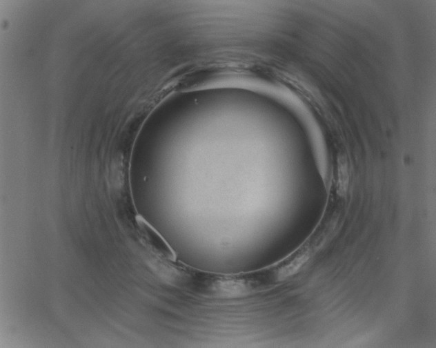 X0000068720413200604281118
