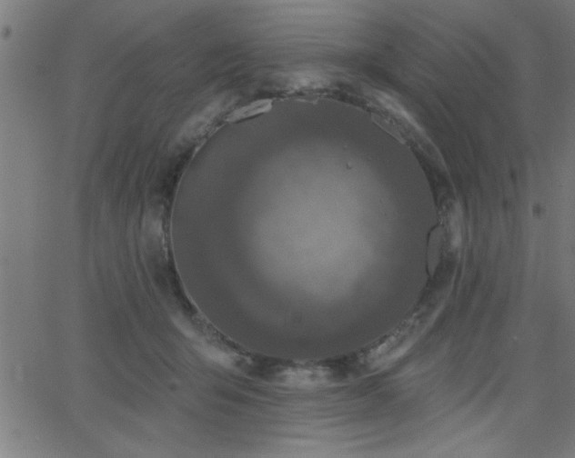 X0000068720415200604281118