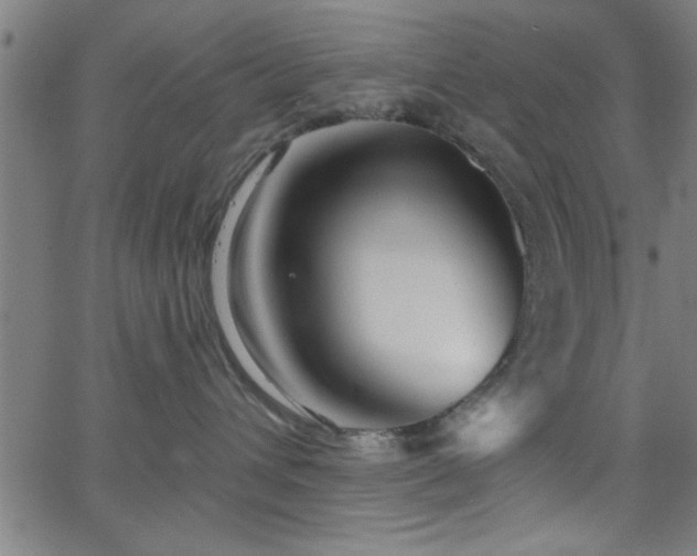 X0000068720432200604281118